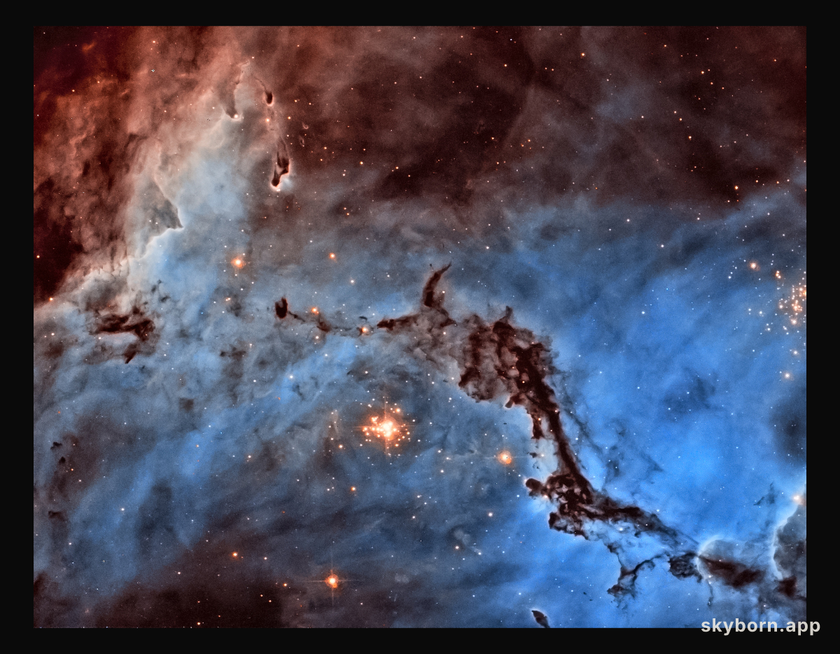 N11: Star Clouds of the LMC
