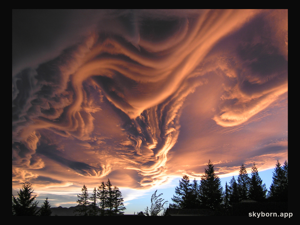 Asperatus Clouds Over New Zealand