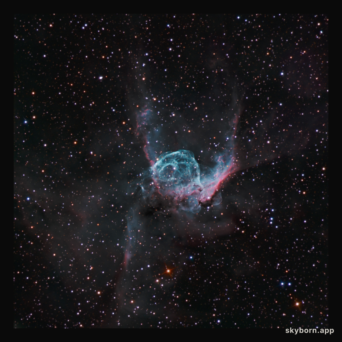 Thor's Helmet