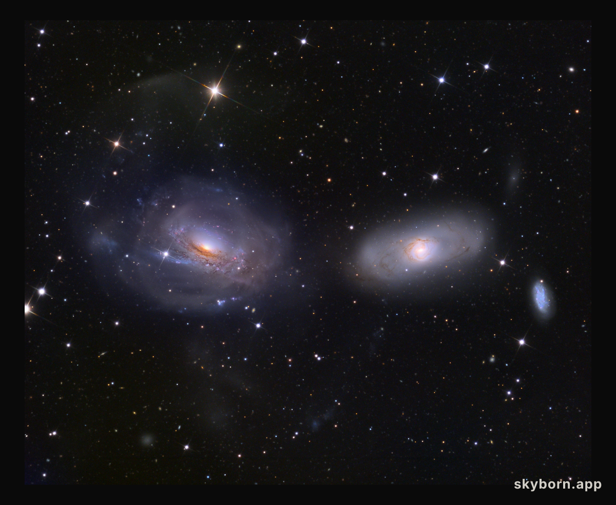 Unraveling NGC 3169