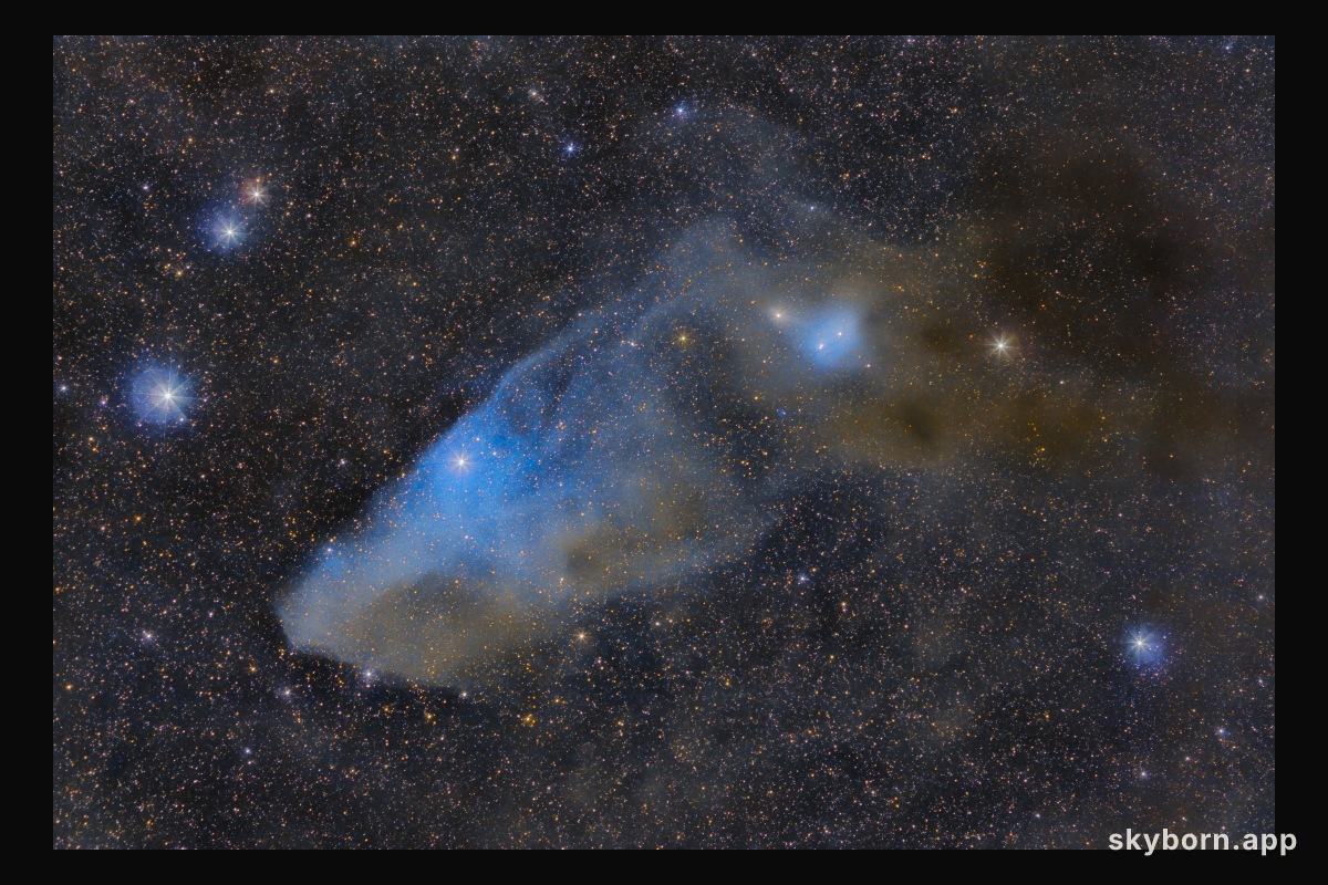 IC 4592: The Blue Horsehead Reflection Nebula