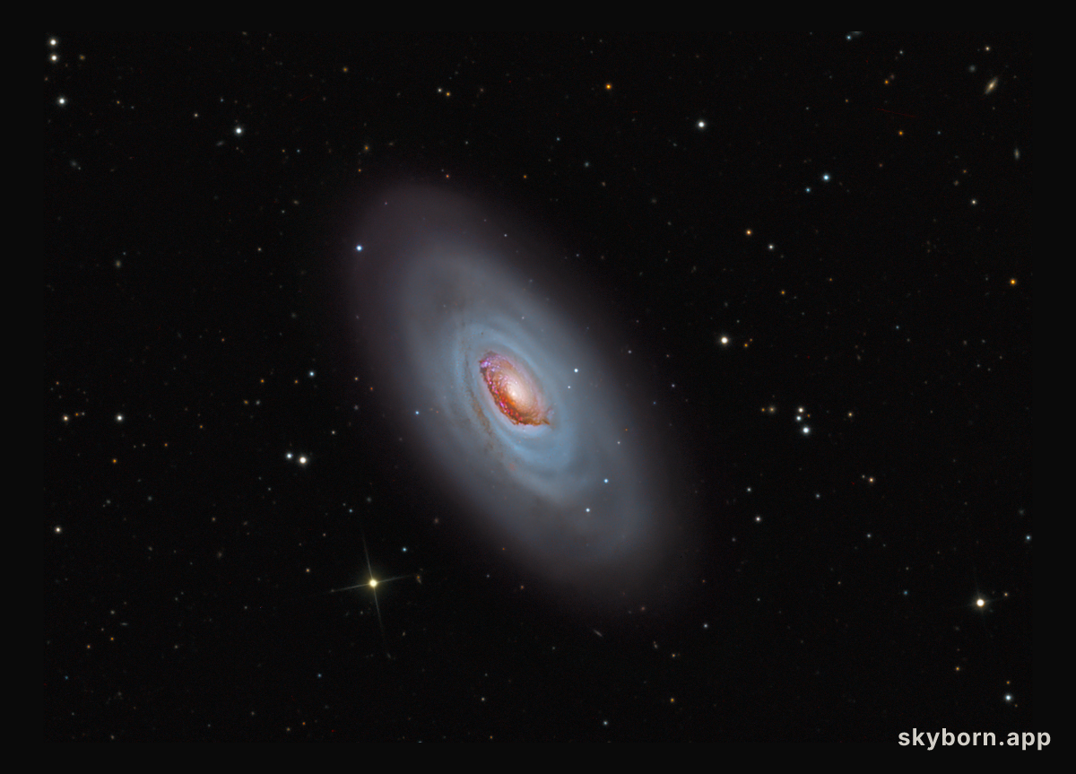 M64: The Black Eye Galaxy