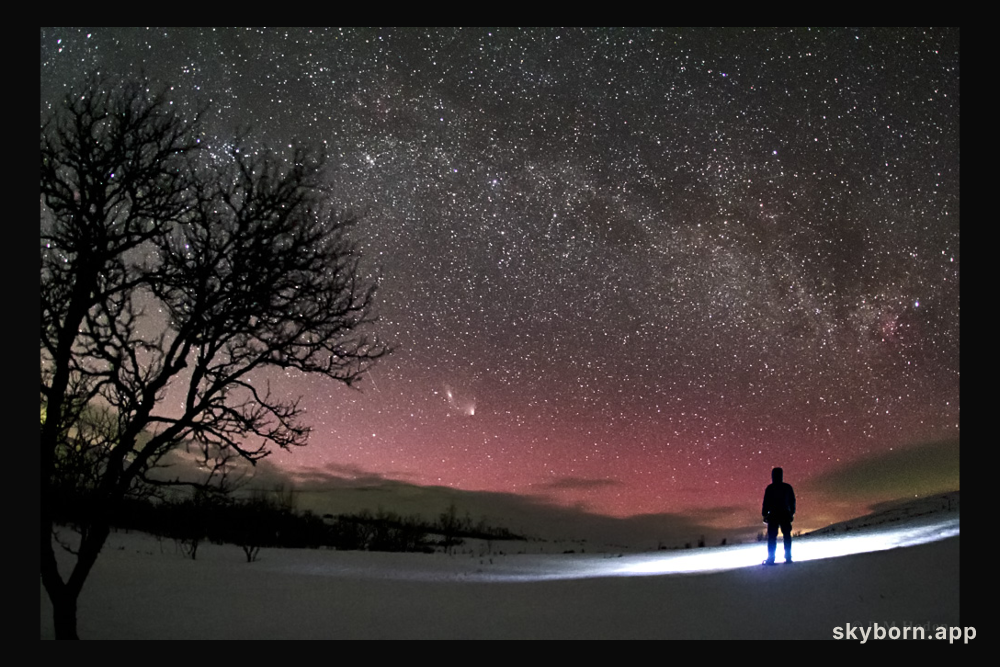 Comet of the North