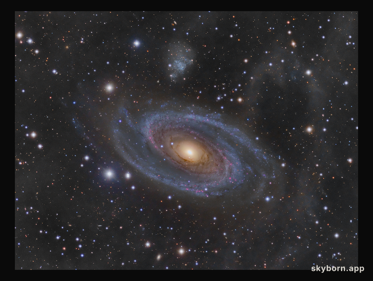 Grand Spiral Galaxy M81 and Arp's Loop