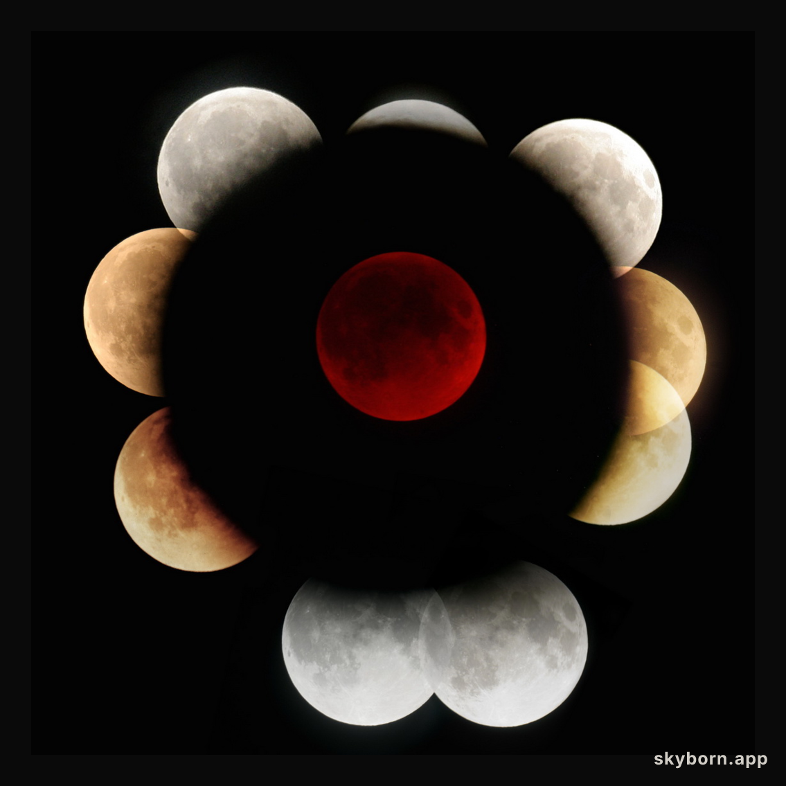 Lunar Eclipses
