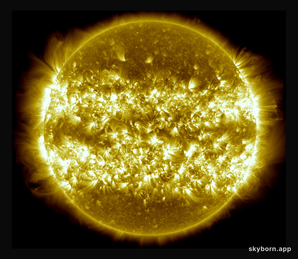 A Year on the Sun