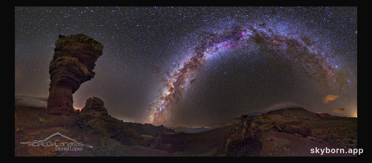 Milky Way and Stone Tree