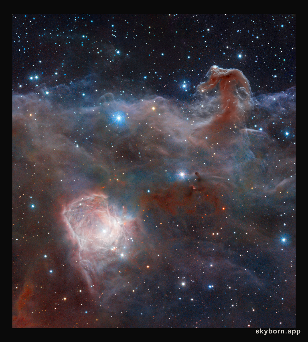 Horsehead: A Wider View