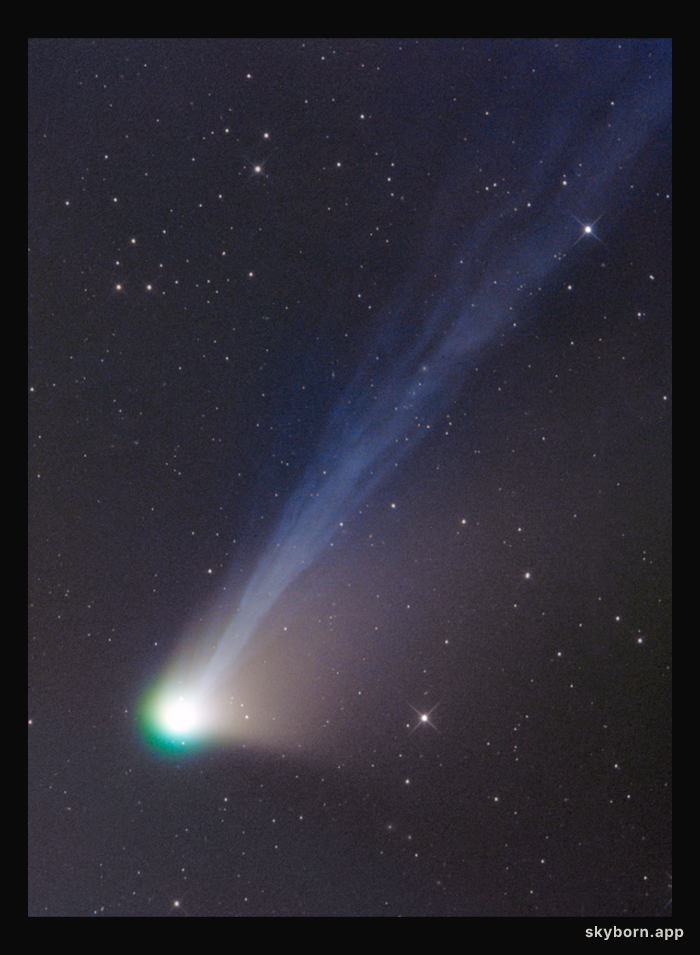 Tails of Comet Lemmon