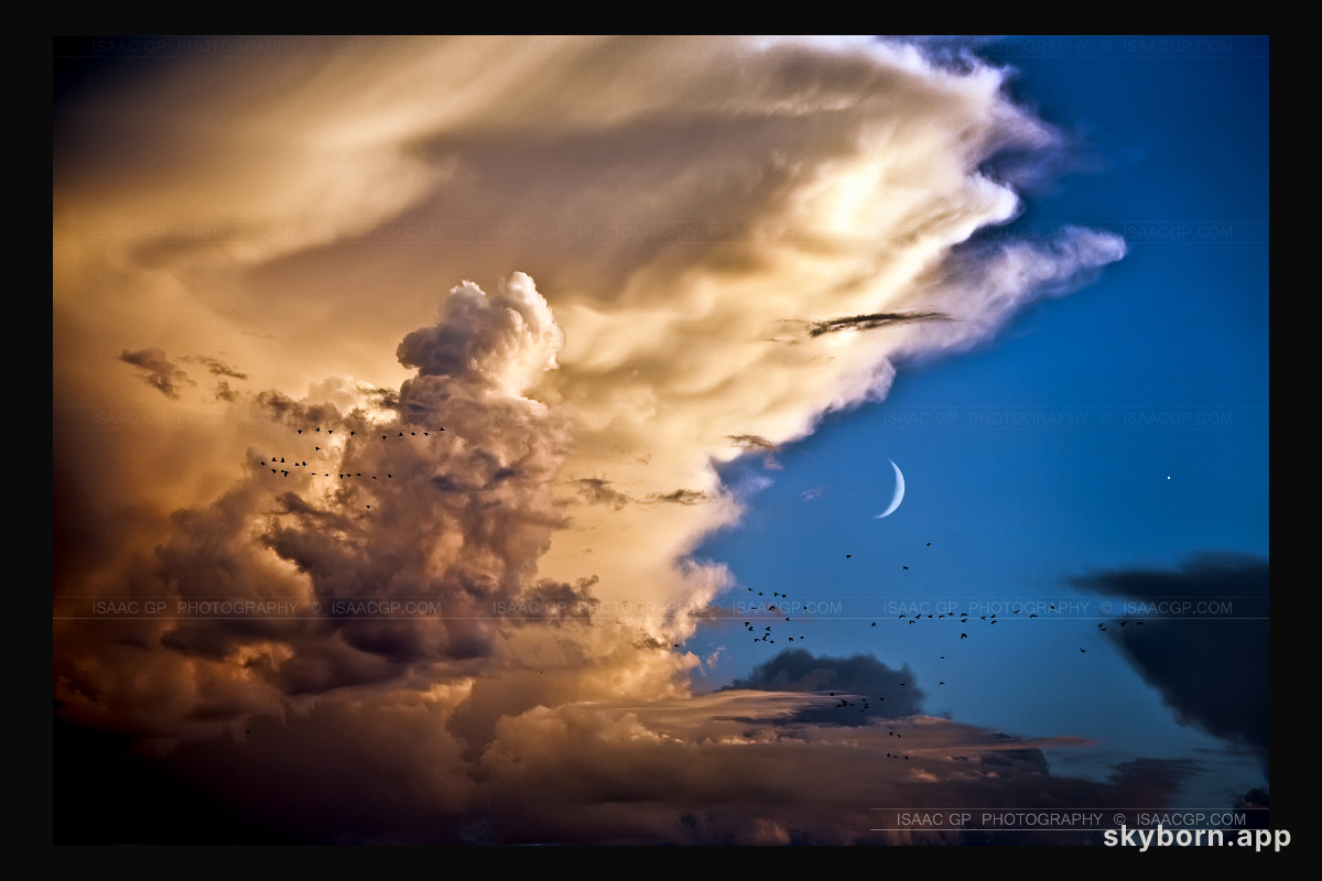 Clouds, Birds, Moon, Venus