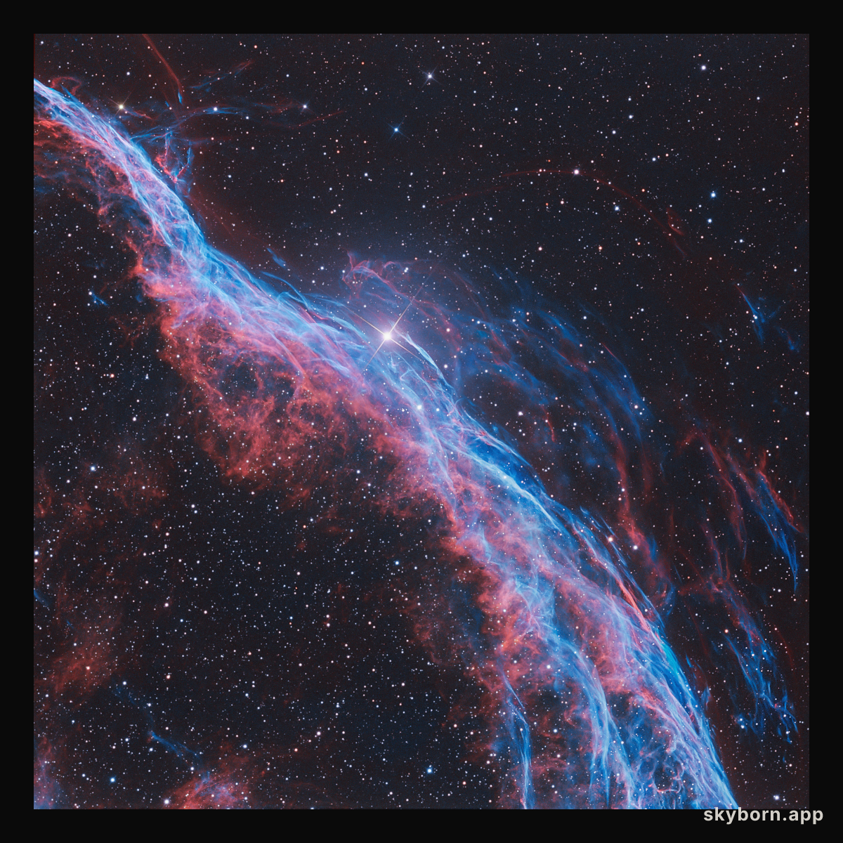 NGC 6960: The Witch's Broom Nebula