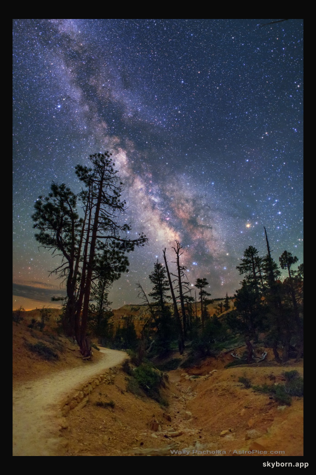The Milky Trail