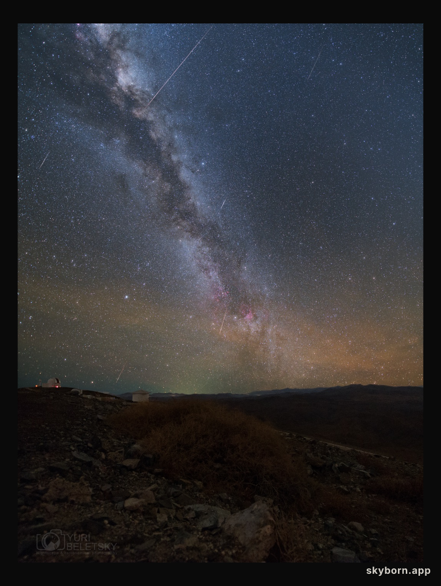 Delphinid Meteor Mystery