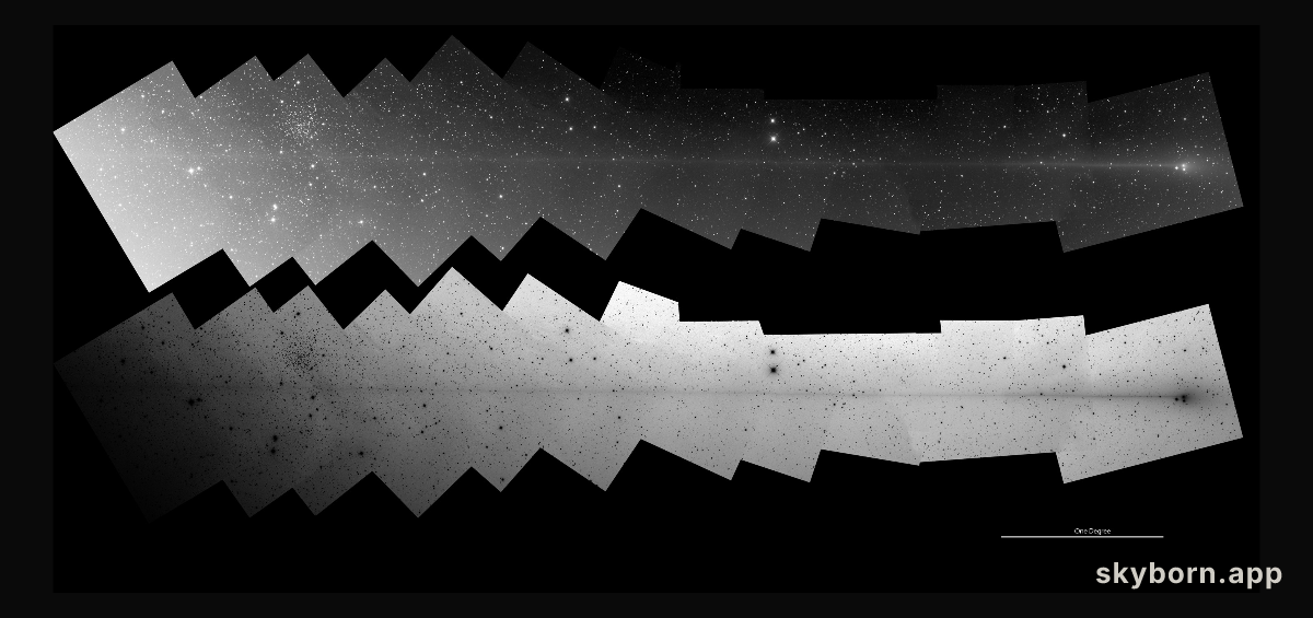 PanSTARRS: The Anti Tail Comet