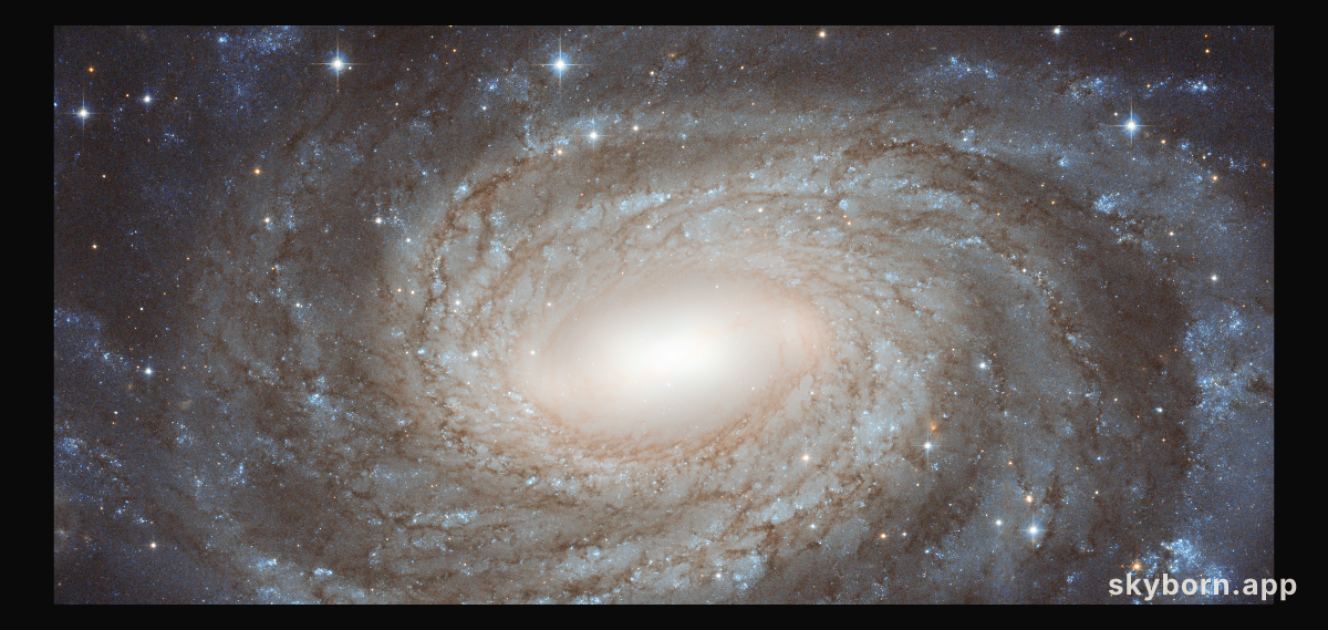 NGC 6384: Spiral Beyond the Stars
