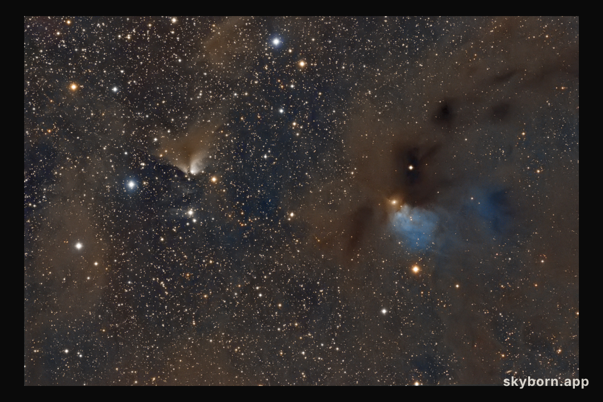 Dusty Nebulae in Taurus