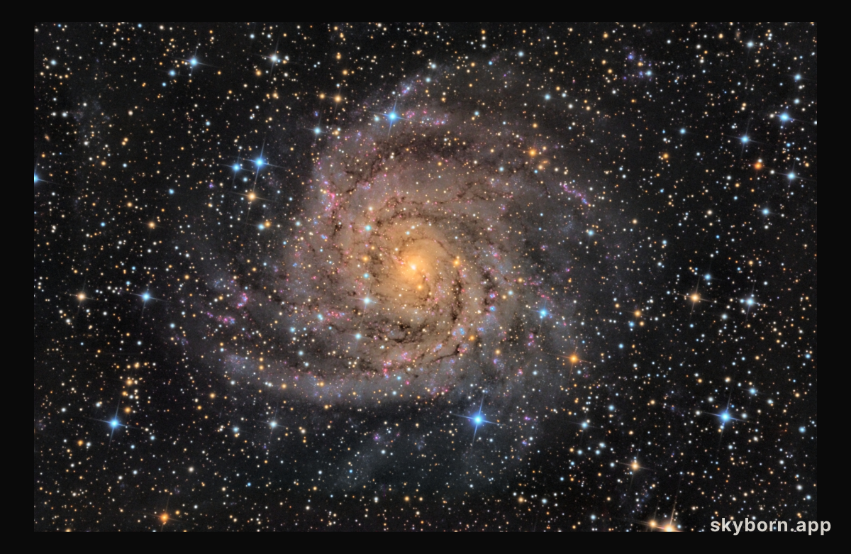 Hidden Galaxy IC 342