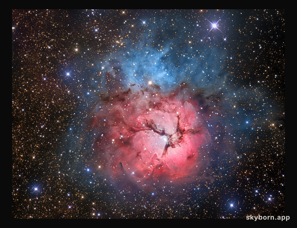The Beautiful Trifid