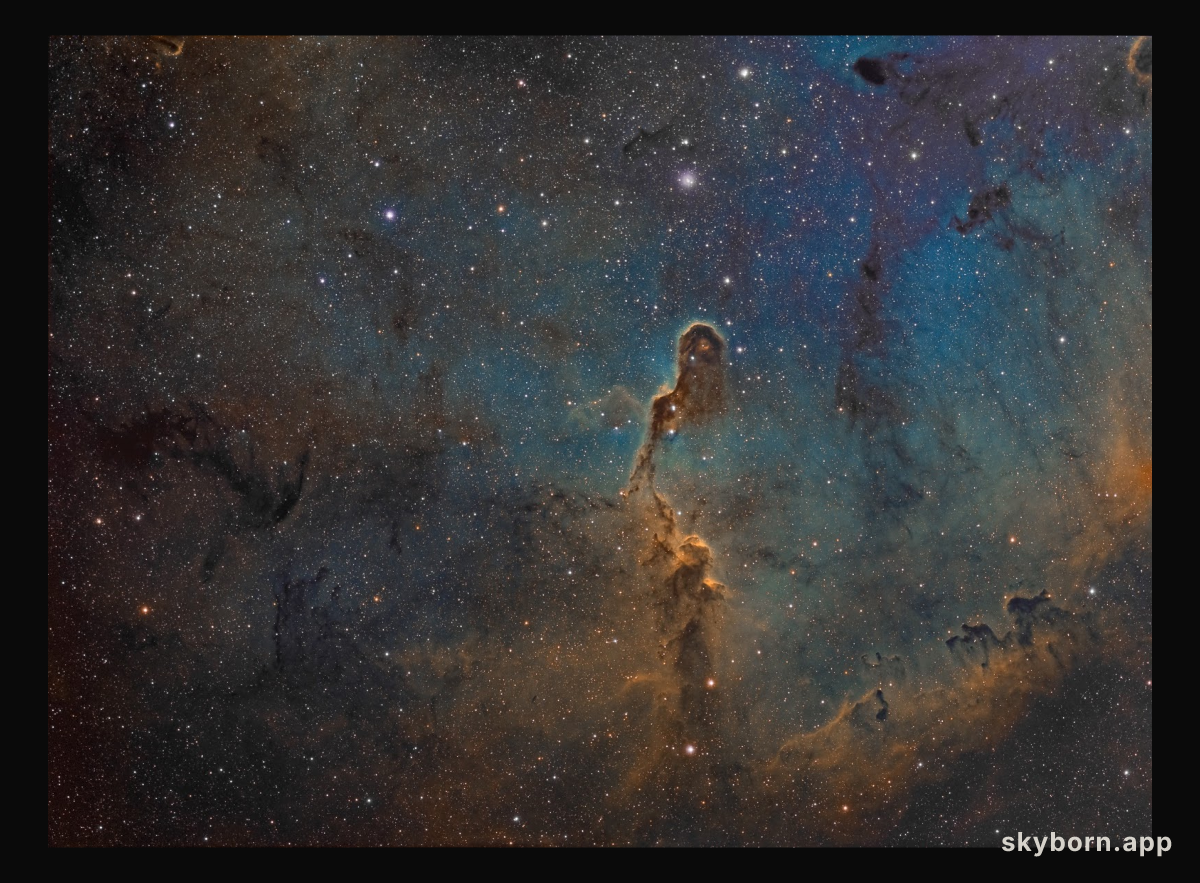 The Elephant's Trunk in IC 1396