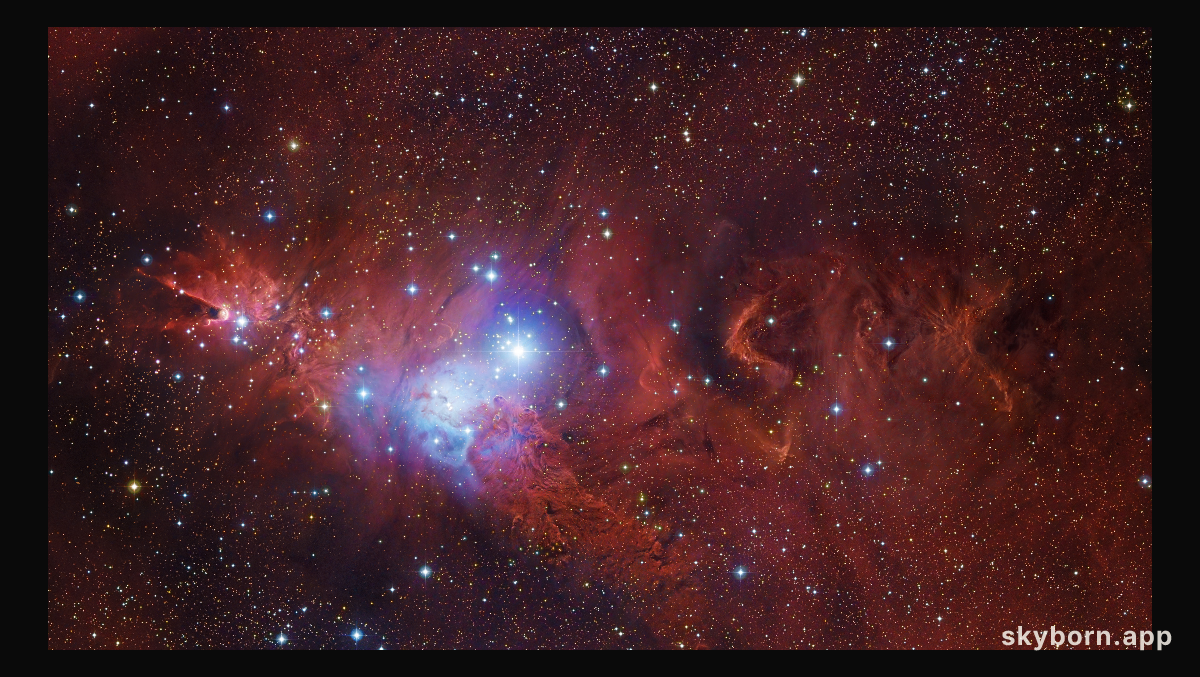 In the Vicinity of the Cone Nebula