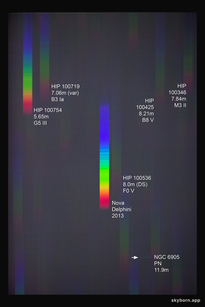 A Spectrum of Nova Delphini