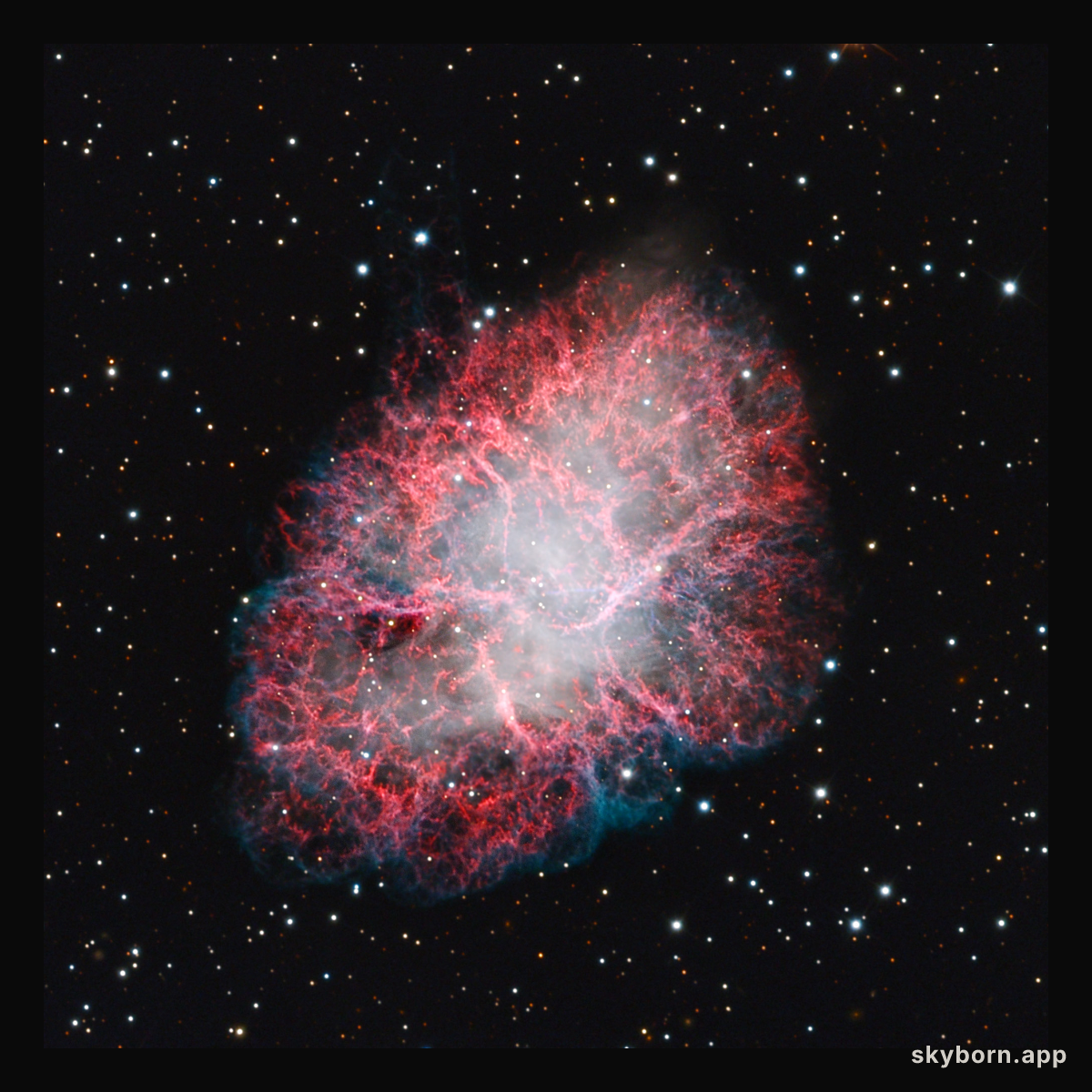 M1: The Incredible Expanding Crab