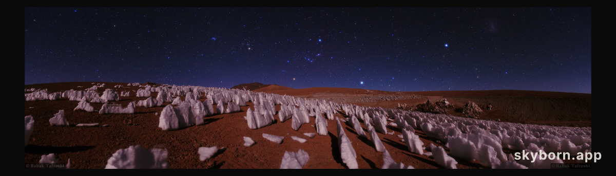 Night in the Andes Ice Forest