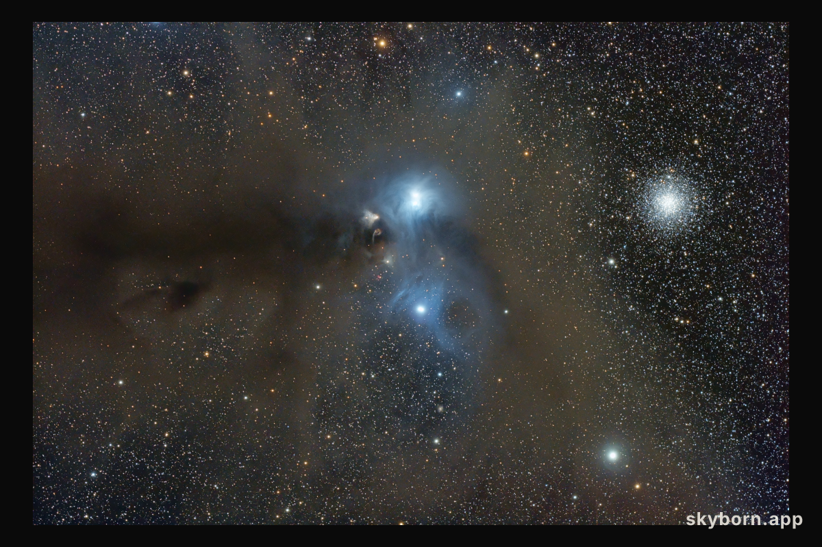 Stars and Dust Across Corona Australis