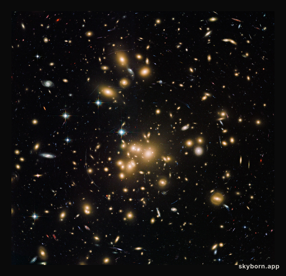 Galaxy Cluster Abell 1689 Deflects Light