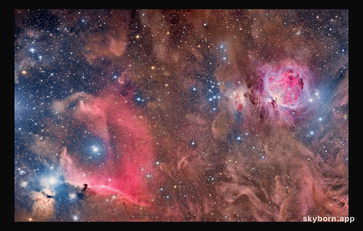 Horsehead and Orion Nebulas
