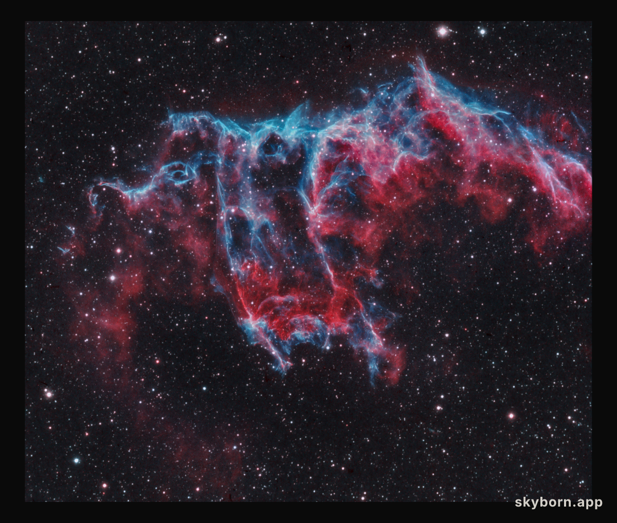 A Spectre in the Eastern Veil