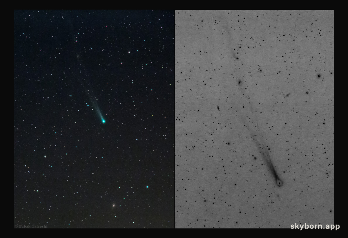Active Comet ISON