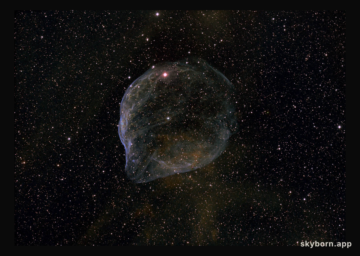 Sharpless 308: Star Bubble