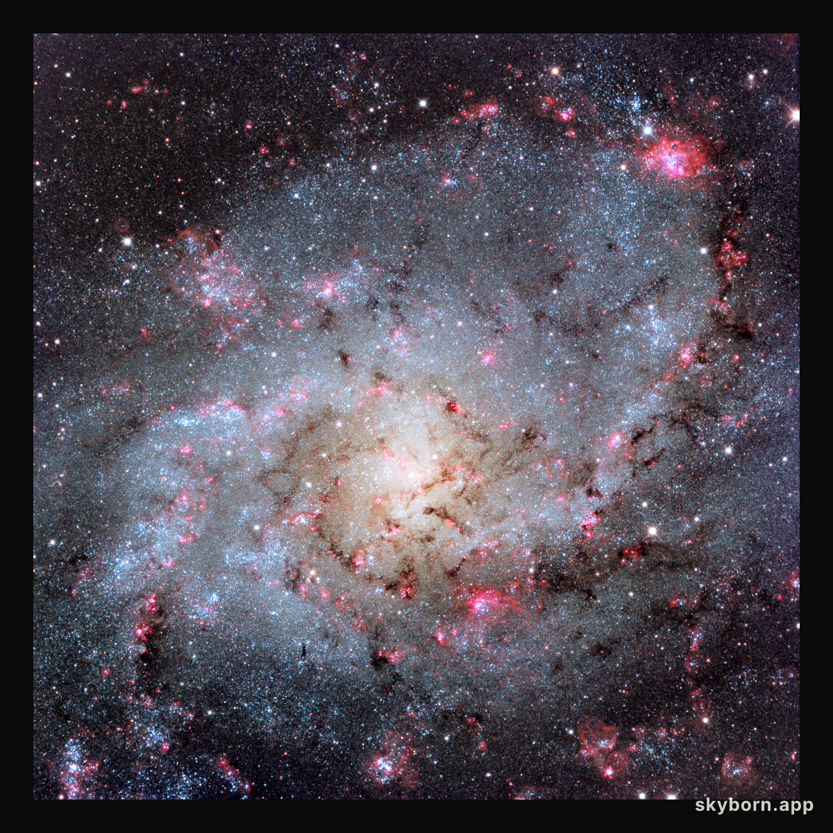 The Hydrogen Clouds of M33