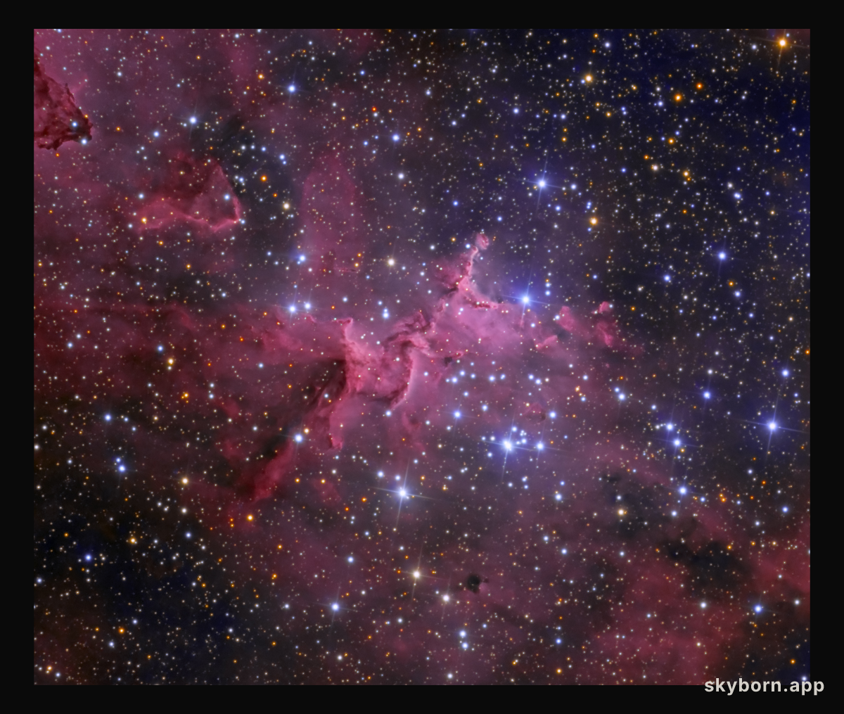Melotte 15 in the Heart