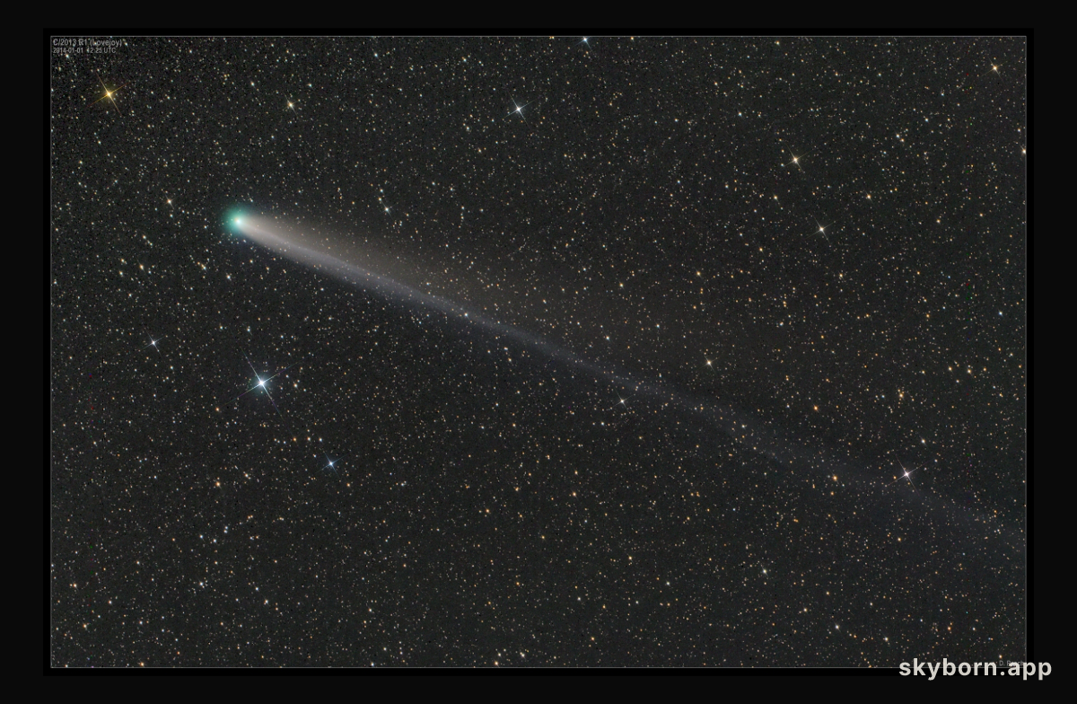 Lovejoy in the New Year