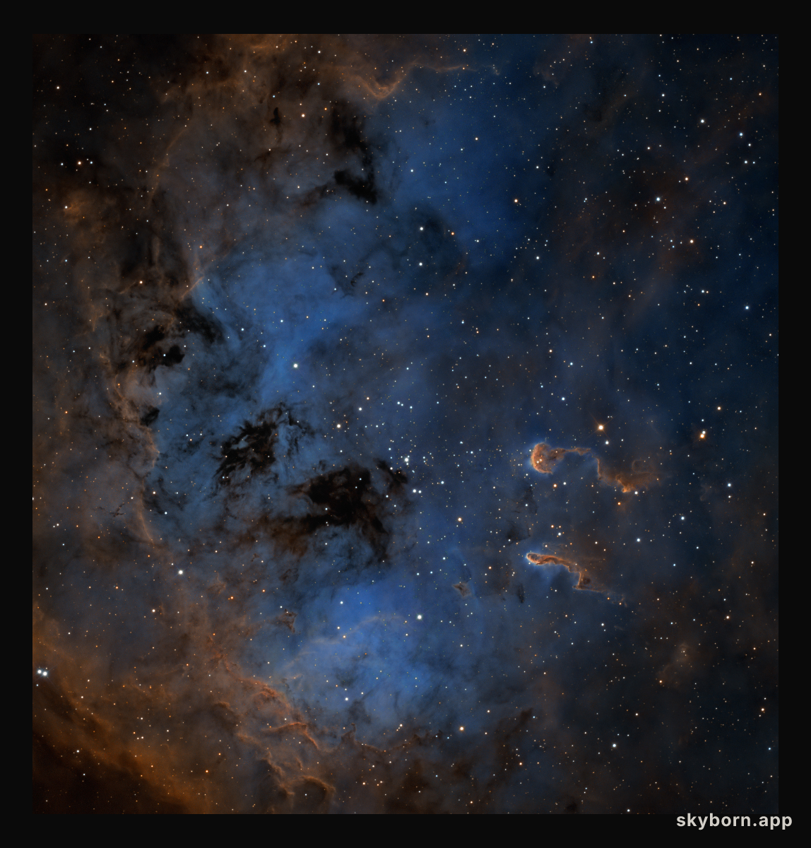 The Tadpoles of IC 410