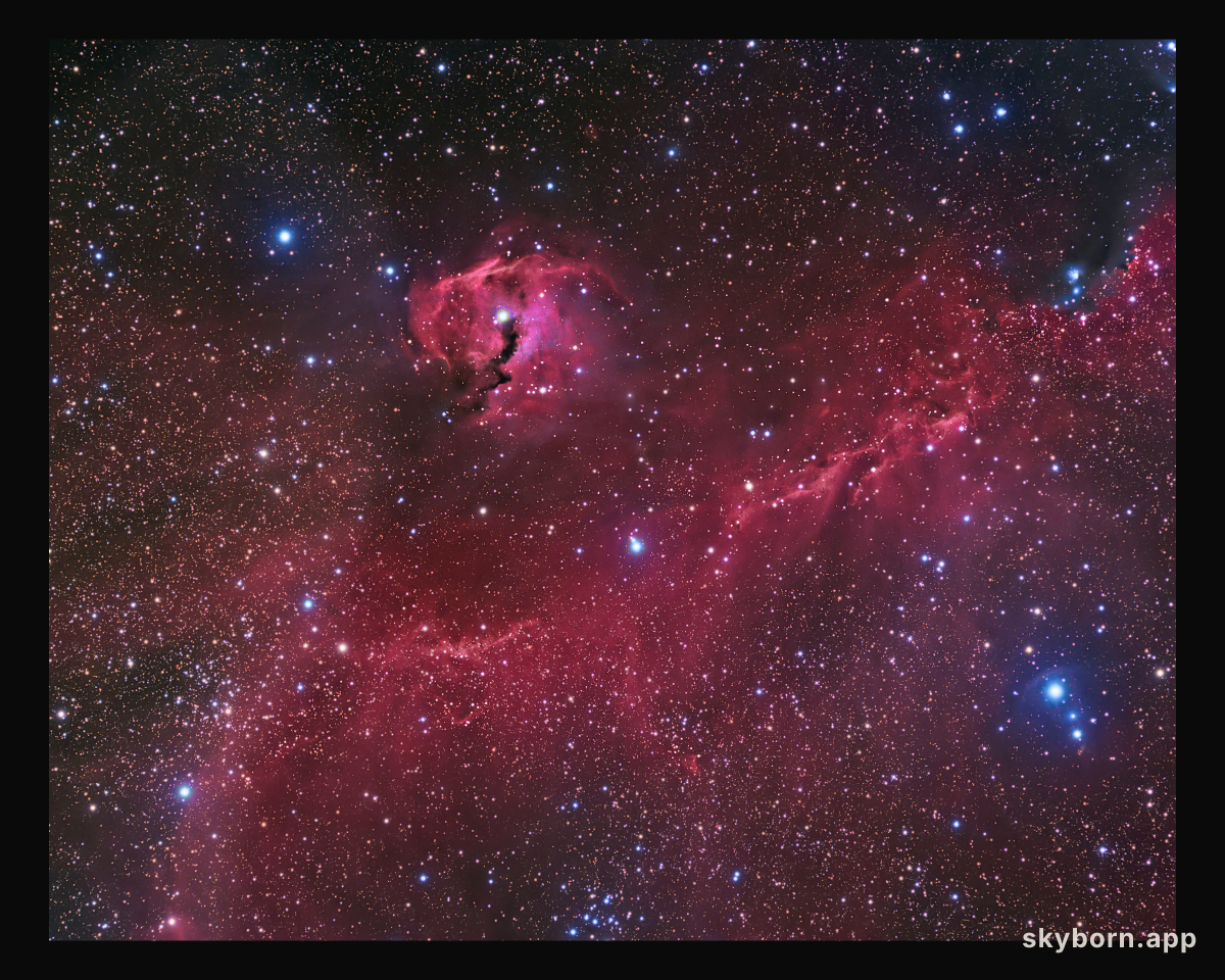 The Seagull Nebula