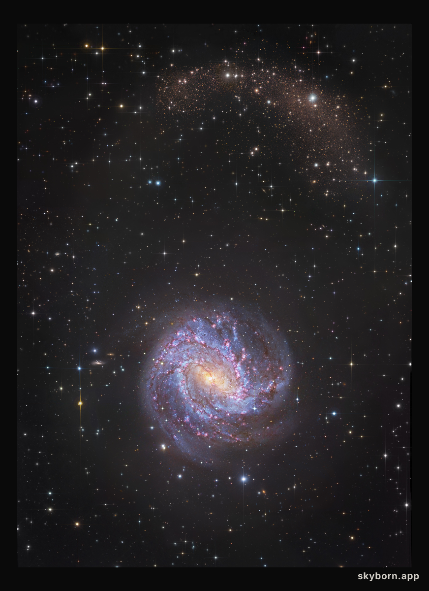 M83 Star Streams