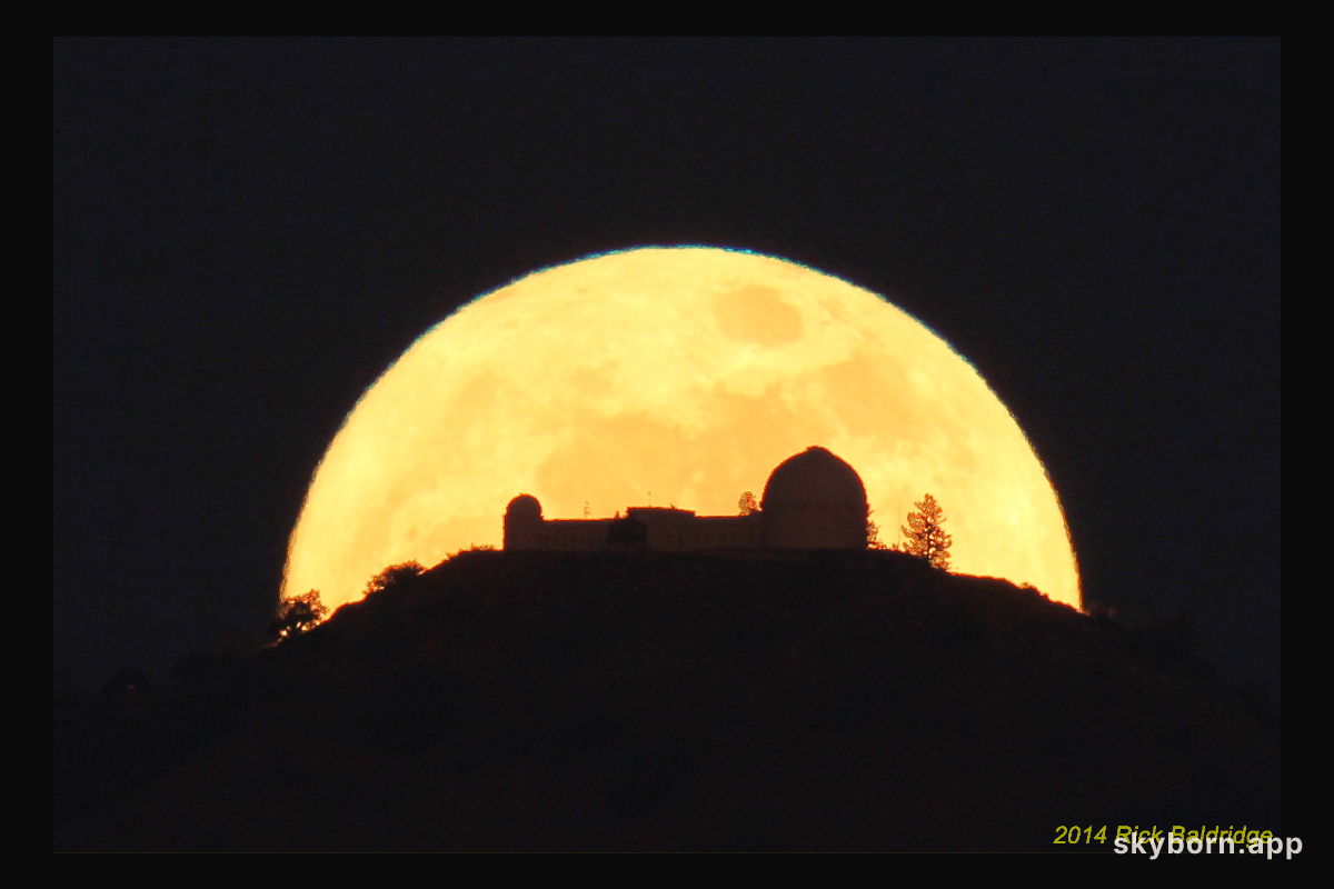 Apogee's Full Moon