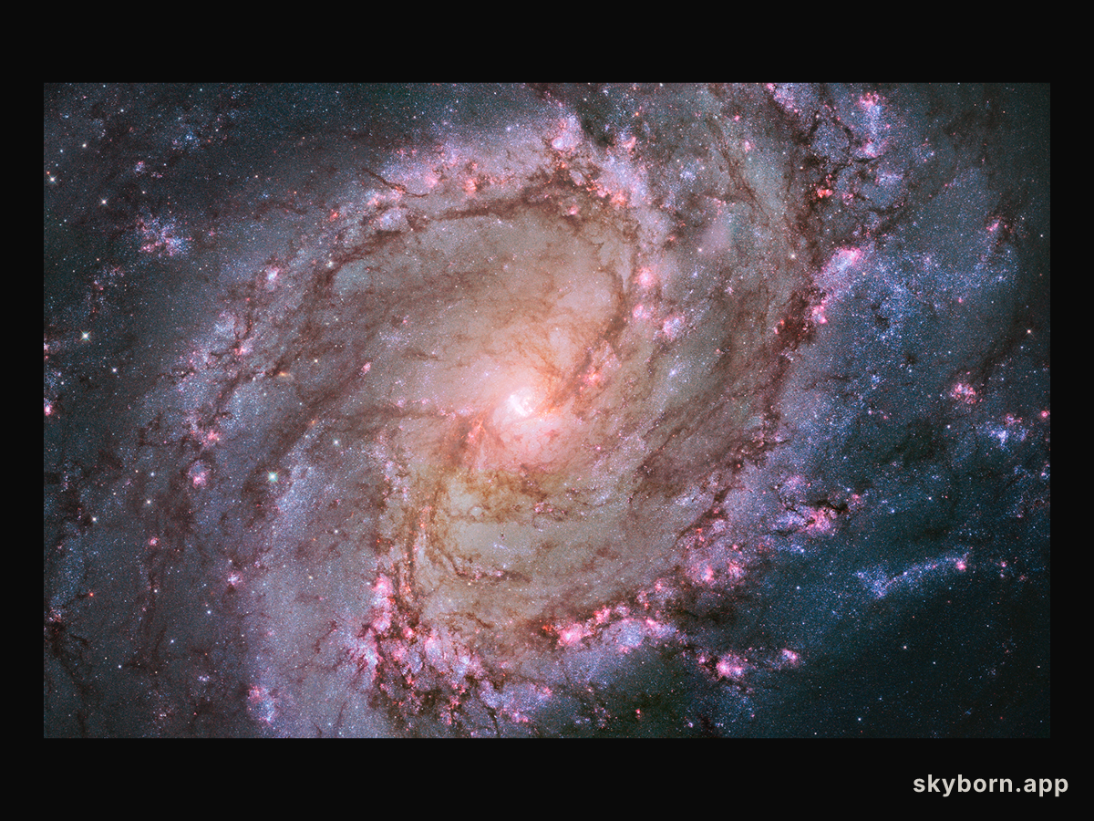 Spiral Galaxy M83: The Southern Pinwheel