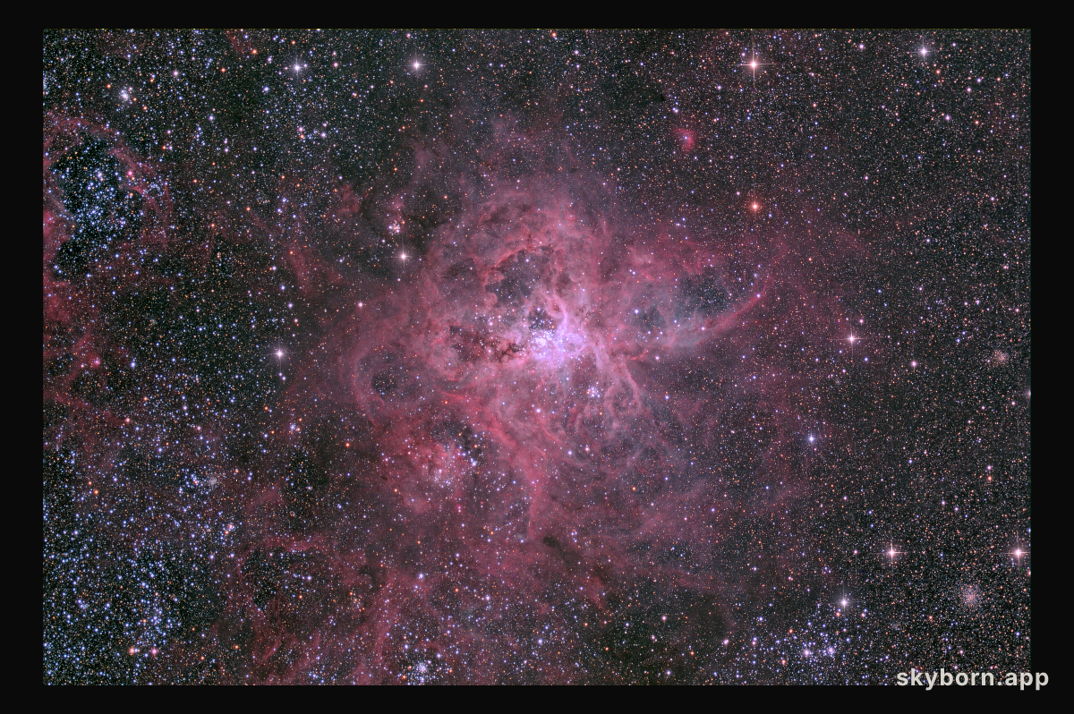 The Cosmic Web of the Tarantula Nebula