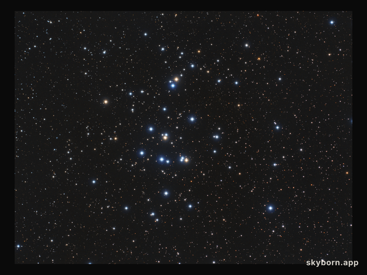 M44: The Beehive Cluster