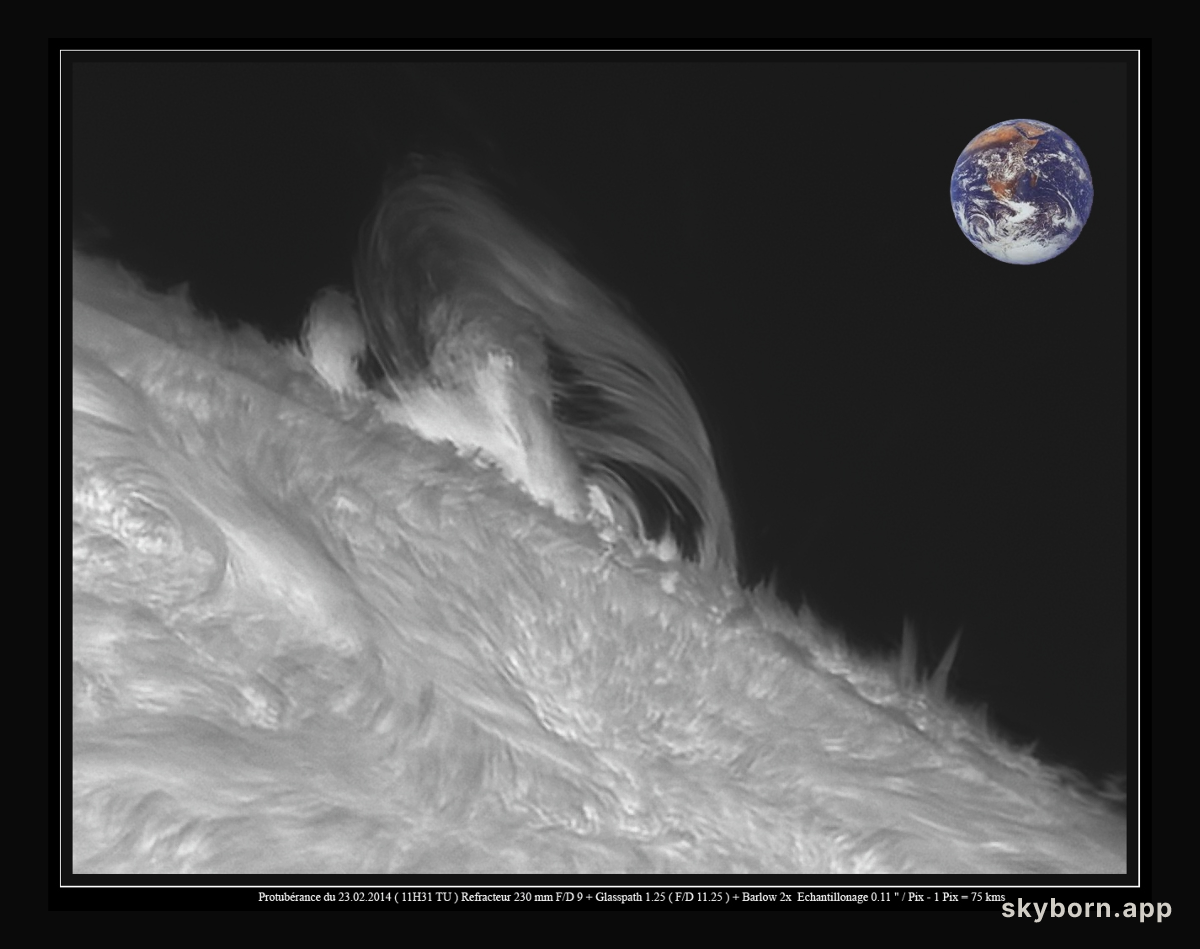 Sun and Prominence