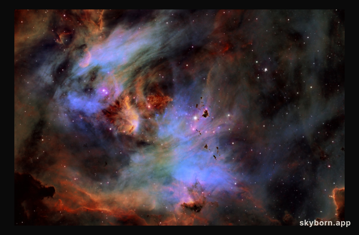 Globules in the Running Chicken Nebula