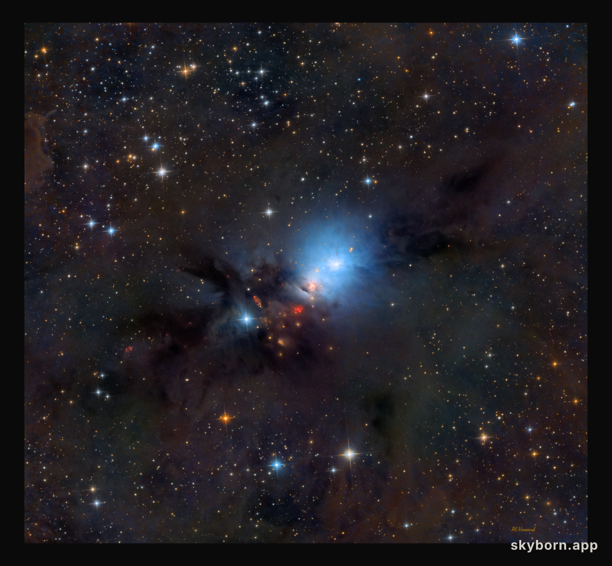 NGC 1333 Stardust