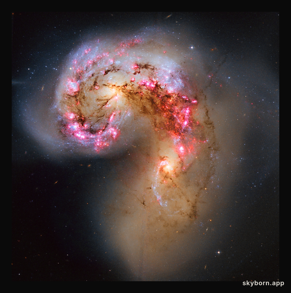 The Antennae Galaxies in Collision