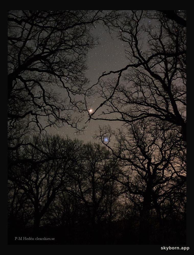 Mars Red and Spica Blue