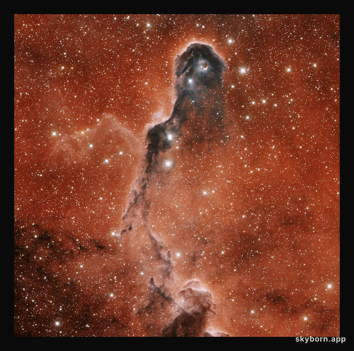An Unusual Globule in IC 1396