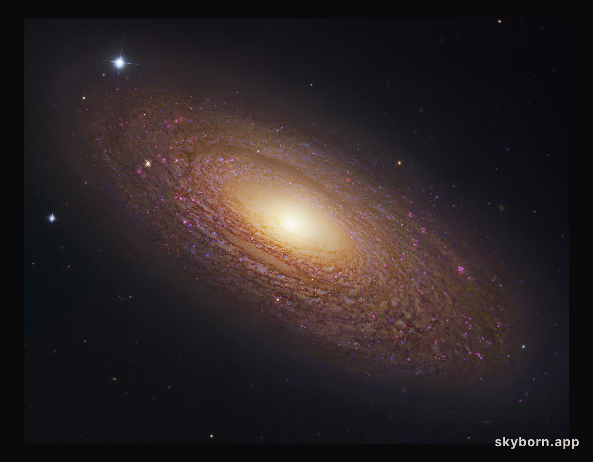 Massive Nearby Spiral Galaxy NGC 2841